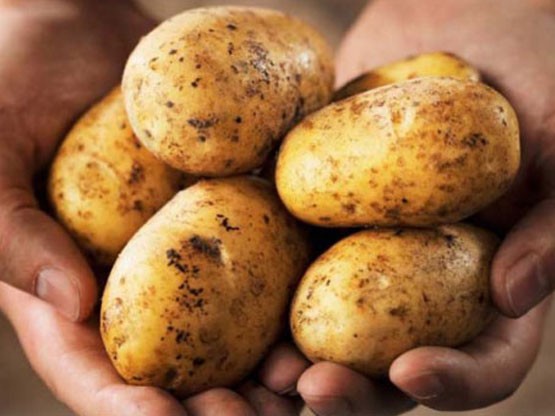 Patates: Ortalama büyüklükteki bir patateste diğer yiyeceklere göre daha fazla tarım ilacı bulunduğu açıklandı.