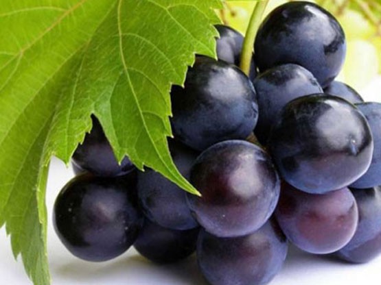 Üzüm: Meyve ve sebzeleri test eden uzmanlar tek bir üzüm tanesinde 15 farklı tarım ilacı belirlediler.