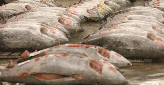 Dondurulmuş balık ve deniz ürünleri
Zararlı içerik: Tert-bütilhidrokinon