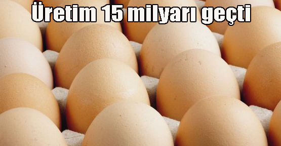 11 ayda 15 milyar yumurta üretildi