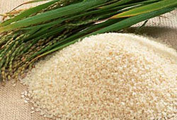 Kur artışı pirinç ihracatını gündeme getirdi