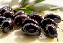 Zeytin ve zeytinyağında rekolte sevinci