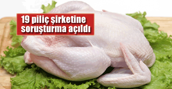 19 piliç şirketine soruşturma açıldı