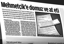 Domuza askerî savcılık el koymalı