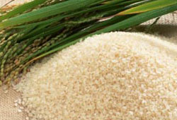 Pirinçte Türkiye'nin ithal ihtiyacı azalıyor