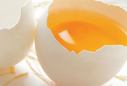 Ban-Konuk haftada 500 bin yumurta üretiyor