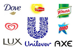 Unilever Vakıf kurdu