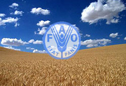 FAO’dan umutlandıran anlaşma