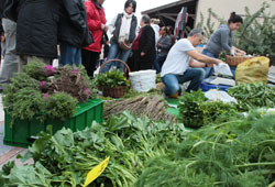 Alaçatı 'Ot festivali' ile çoştu