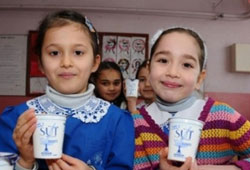 Süt dağıtım uygulaması yarın başlıyor