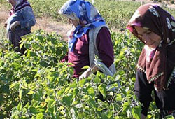 Başarı öyküleri belgesel oldu