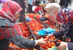 Haldeki artığı ‘organik’ diye satıyorlar!