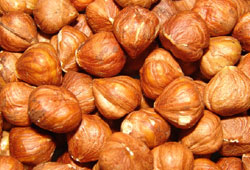 Fındık incelemesine ticaret borsaları da eklendi
