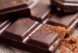 Eskişehir'e çikolata fabrikası kuruyor

