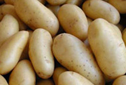 Doğu'lu çiftçinin patates mutluluğu