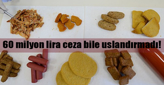 60 milyon lira ceza bile uslandırmadı