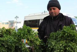Dünya sofralarına
