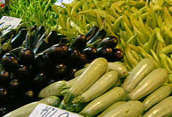 Patlıcan üretiminde biyolojik mücadele dönemi