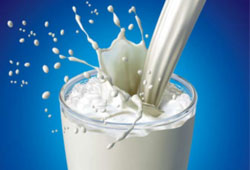 AB'ye süt ihracatı 3 Nisan'da başlıyor