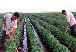 Çiftçi son 10 yılda perişan oldu iddiası