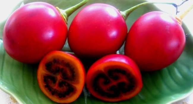 Ağaç domatesi yaygınlaşıyor