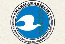 Marmarabirlik yeni hedef pazarını açıkladı