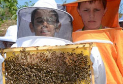 Arı ve Çocuk Projesi Düzcede yaygınlaşıyor