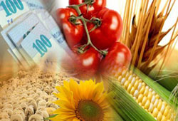 Tarım ürünleri ihracatında rekor artış