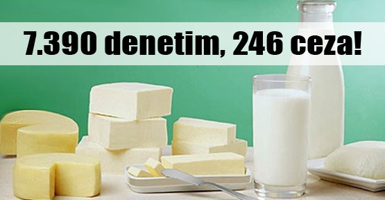 7 bin 390 denetim, 246 yaptırım