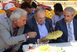 Çekirdek Festivali'nde yağmur beklentisi!