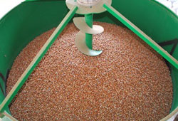 Fındıkta aflatoksine karşı makineli kurutma