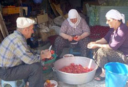 Bilecik'te kış hazırlıkları başladı