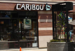 Caribou Cafe Crown'ı aldı