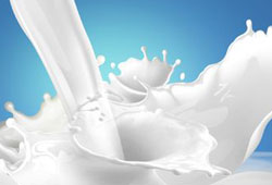 Trakya, süt üretiminde liderliğe oynuyor