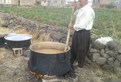 Siverekte bulamaç zamanı başladı