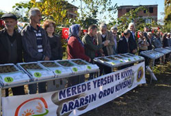 Ordu'da 