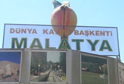 Malatya kayısı festivaline hazır