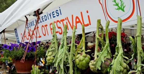 Alaçatı Ot Festivali evden yapılacak