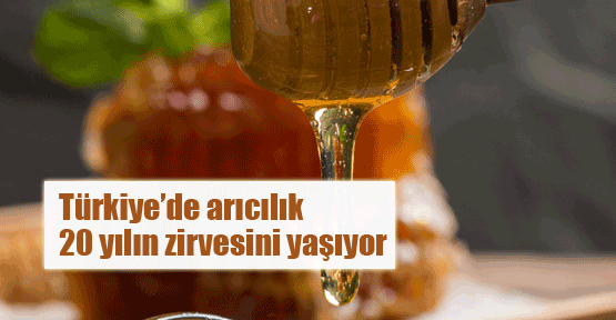 Arıcılık 20 yılın zirvesini yaşıyor