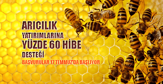 Arıcılık yatırımlarına % 60 hibe desteği