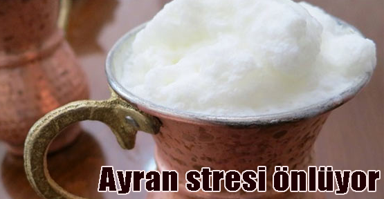 Ayran tüketmek stresi önlüyor!