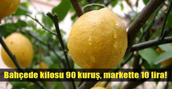 Bahçede 90 kuruş markette 10 lira