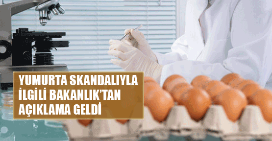 Bakanlık'tan geç gelen yumurta açıklaması 