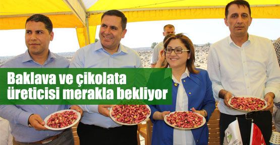 Baklavacıları yakından ilgilendiriyor