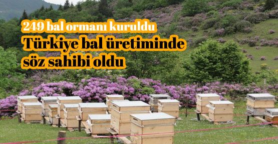 Bal ormanları ile herkes kazanacak