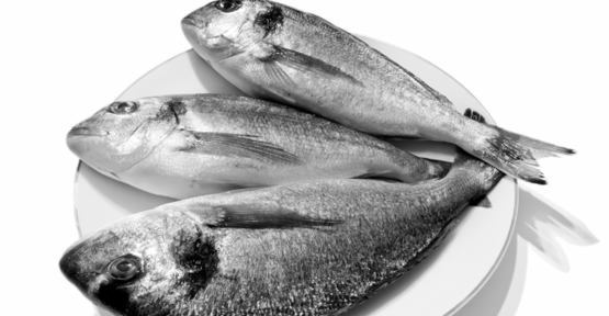 Balık ihracatı rekor kırdı