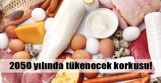 Batı'da hayvansal gıda takıntısı var!