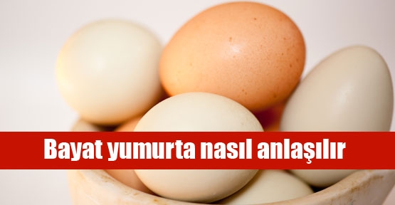 Bayat yumurtayı anlama testi