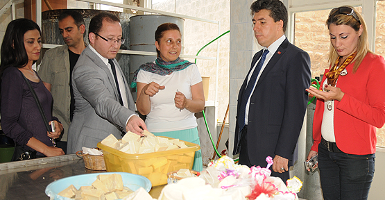 Bıttım, Mardin için altın değerinde