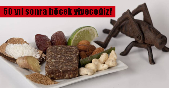 Böcek yiyip afiyet olsun diyeceğiz!